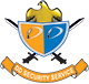 DD Security Service